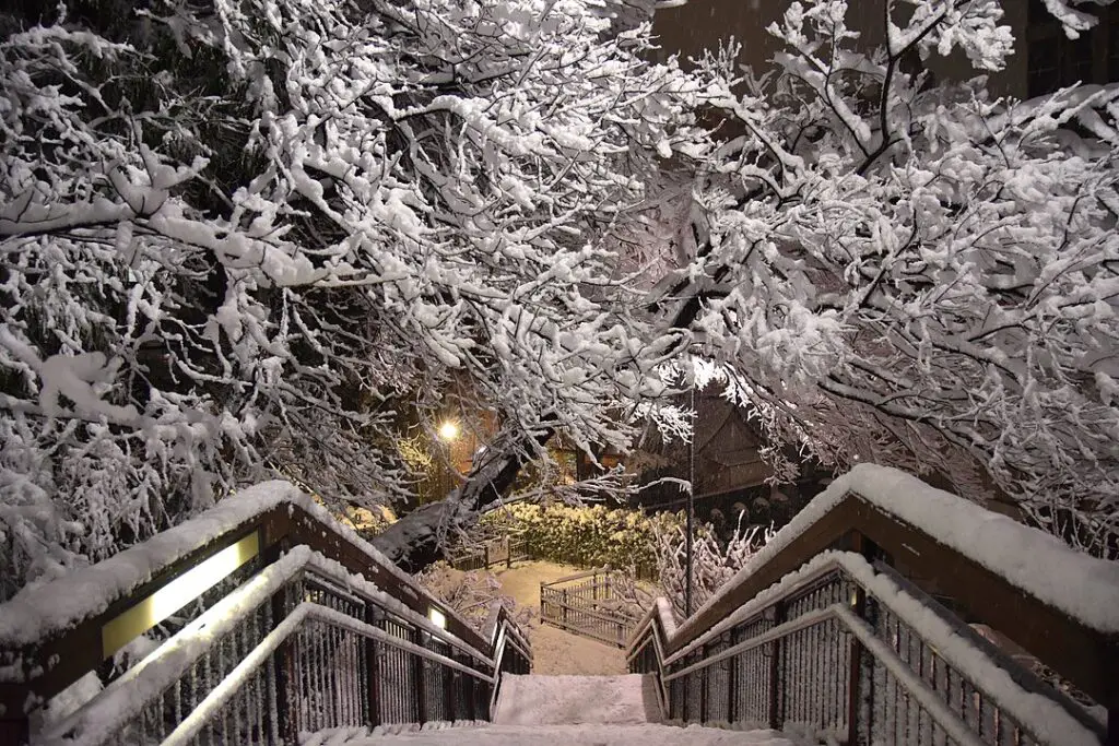 Snow in Japan