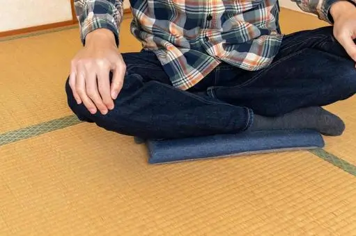 Japanese Sitting Positions